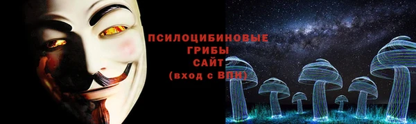 ешки Абаза