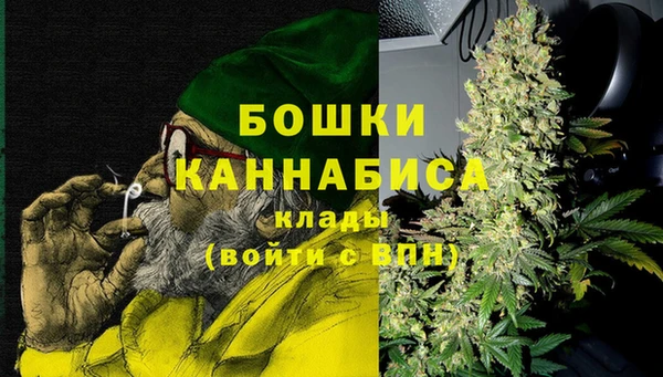 индика Дмитров