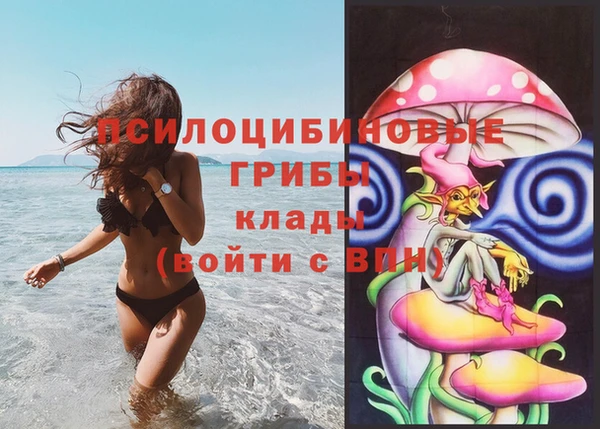 ешки Абаза