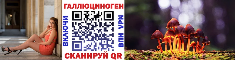кракен ONION Гагарин Псилоцибиновые грибы Psilocybe купить наркотики сайты